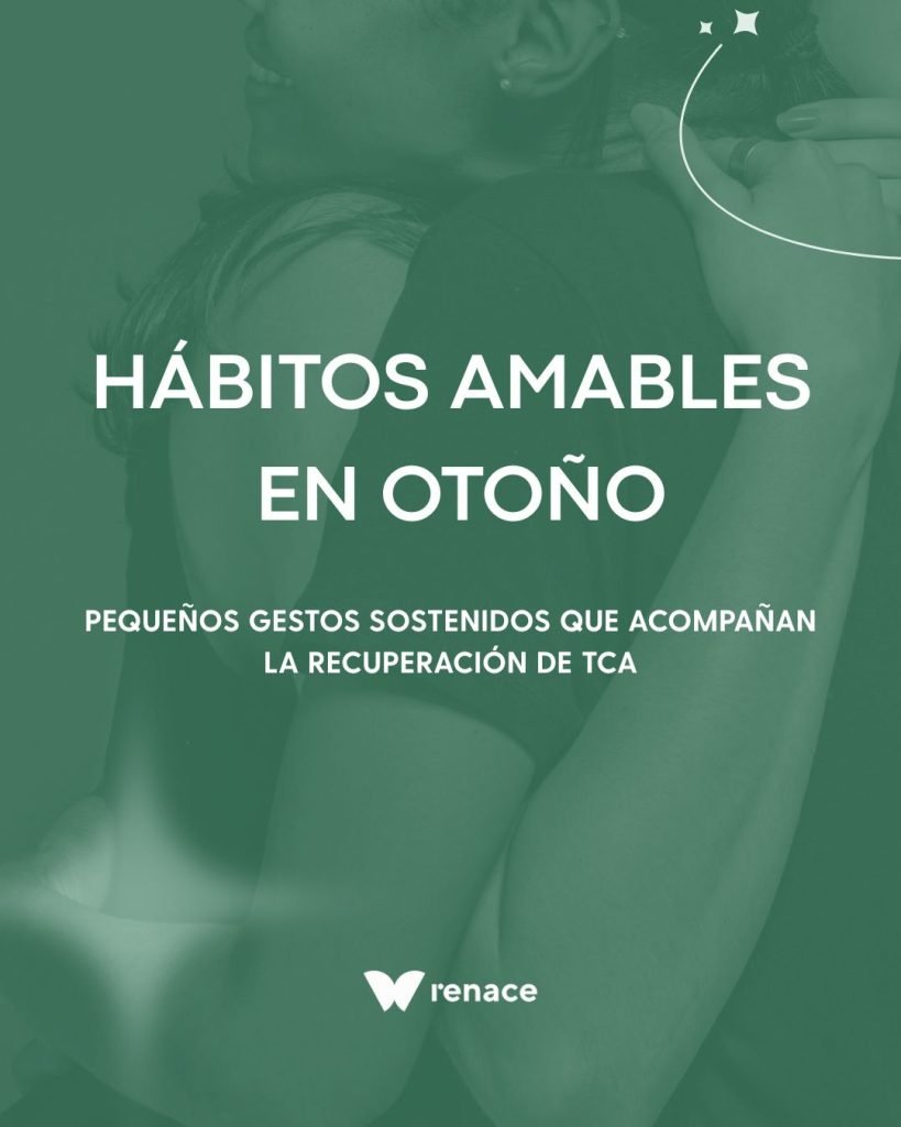 Hábitos amables en otoño: pequeños gestos sostenidos que acompañan la recuperación de TCA